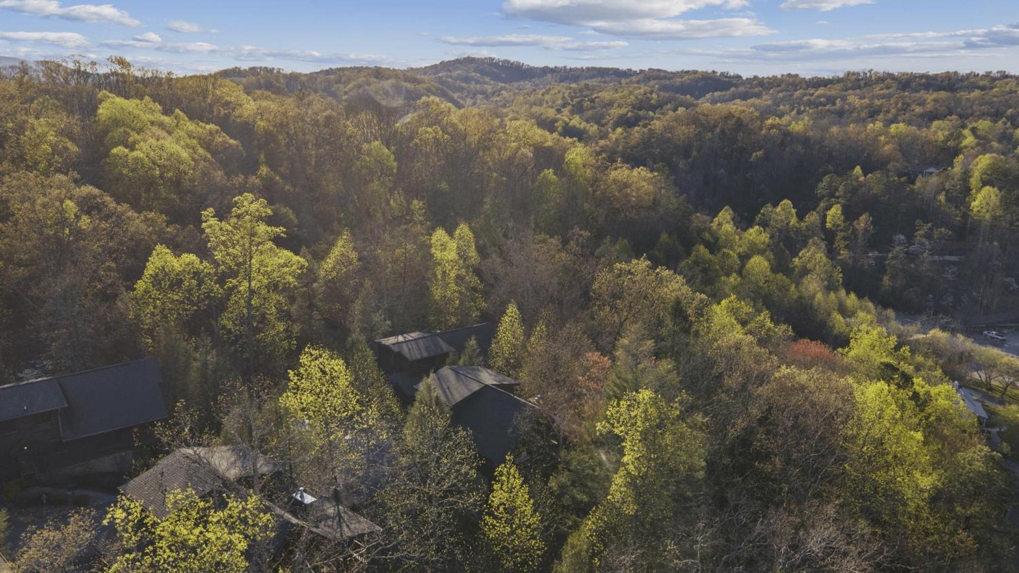Stunning Mountain Cabin W Hot Tub Gatlinburg Exterior photo